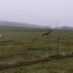 Maison Rosae Vinca Apartment *