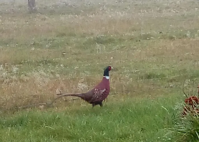 Apartmán Maison Rosae Vinca La Voge-les-Bains