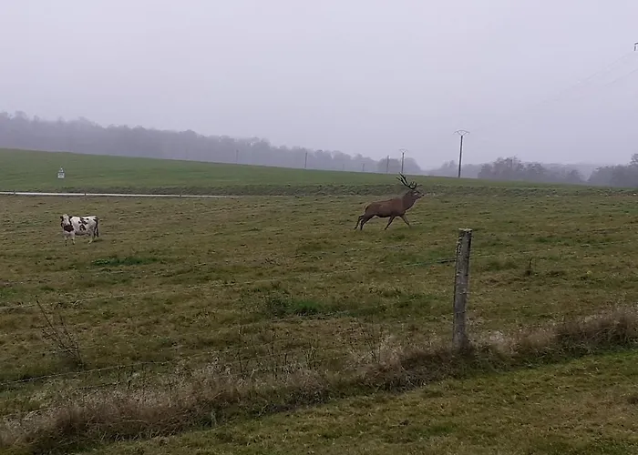 Maison Rosae Vinca Apartmán *